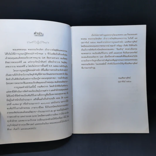 ธัมมจักขุ รูปที่ 9