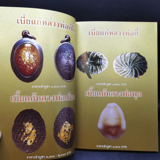 เบี้ยแก้ - โสฬส วัชญา รูปที่ 12