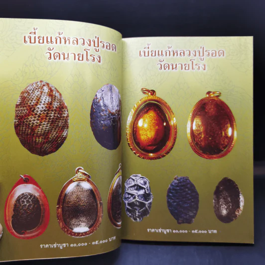 เบี้ยแก้ - โสฬส วัชญา รูปที่ 9