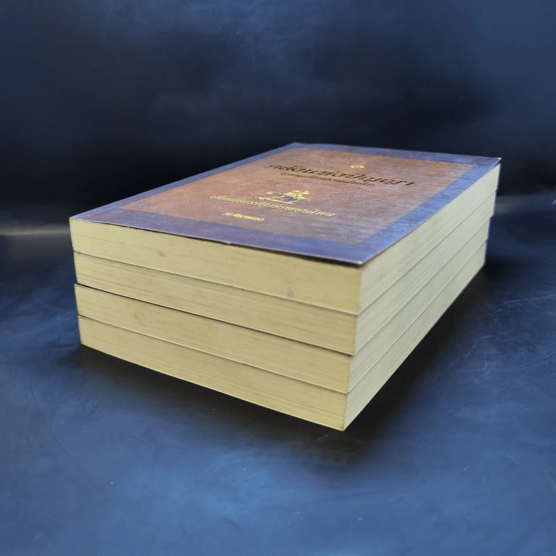 คลังแห่งปัญญา รากแก้วของแผ่นดิน Boxset พร้อมหนังสือ 4 เล่ม - ศ.ศิลาแลง รูปที่ 9