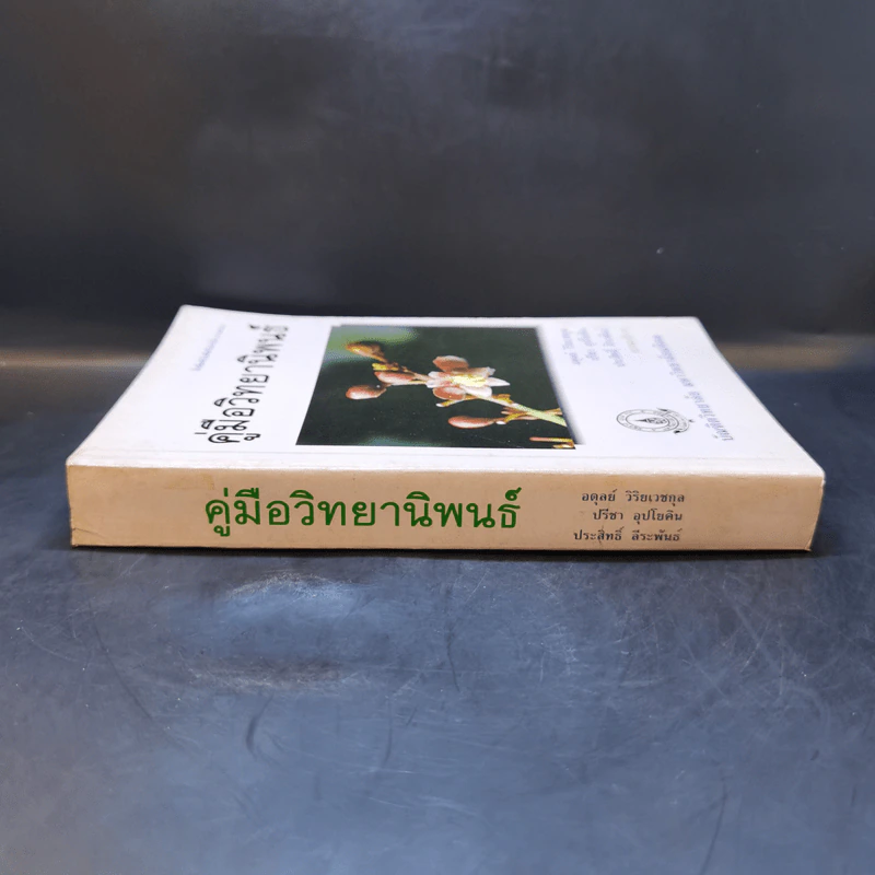 คู่มือวิทยานิพนธ์ รูปที่ 3