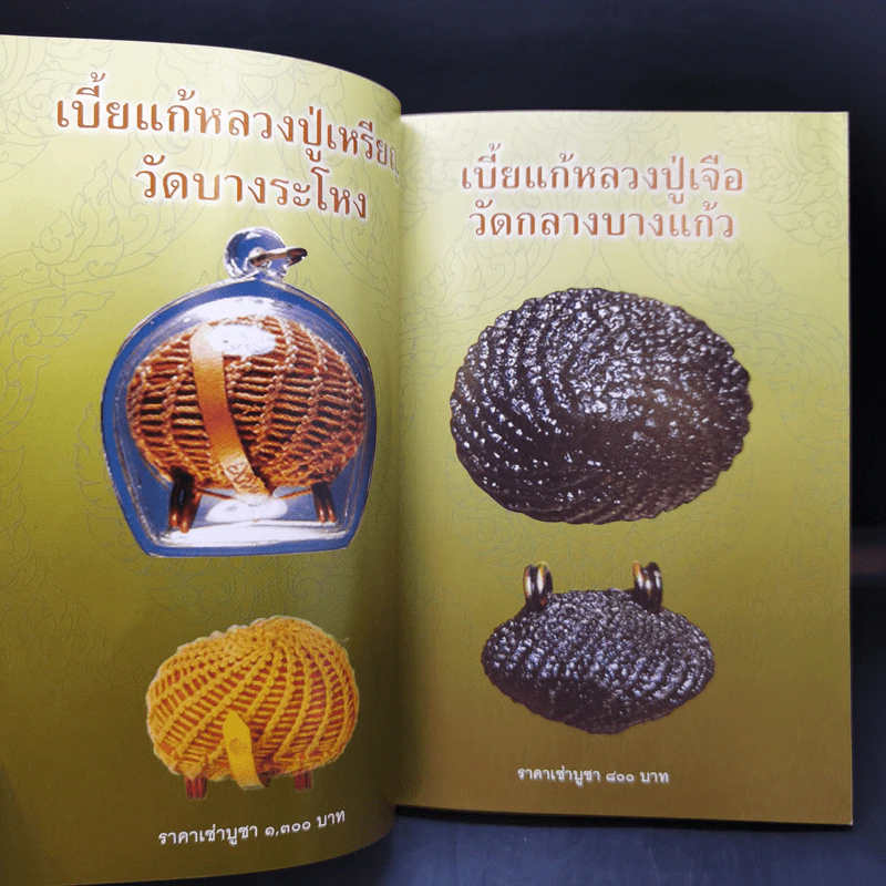 เบี้ยแก้ - โสฬส วัชญา รูปที่ 10