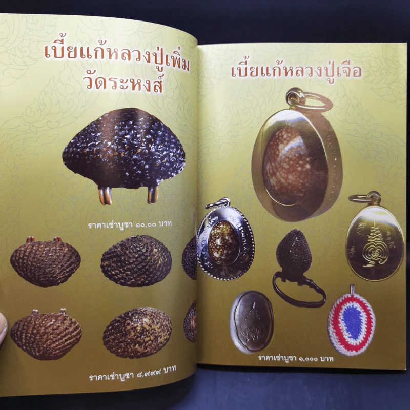 เบี้ยแก้ - โสฬส วัชญา รูปที่ 11