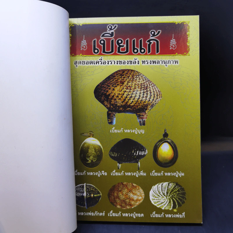 เบี้ยแก้ - โสฬส วัชญา รูปที่ 8