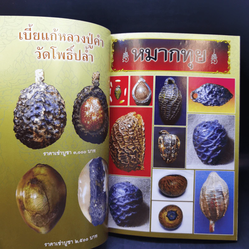 เบี้ยแก้ - โสฬส วัชญา รูปที่ 13