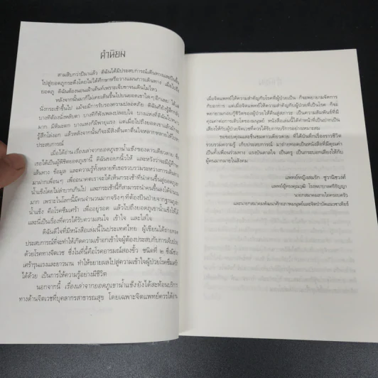 เรื่องเล่าจากยอดภูเขาน้ำแข็ง - ดาวเดียวดาย รูปที่ 11