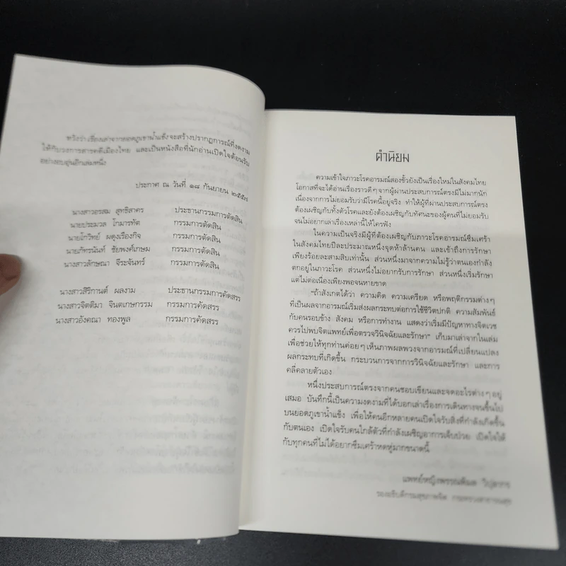 เรื่องเล่าจากยอดภูเขาน้ำแข็ง - ดาวเดียวดาย รูปที่ 10