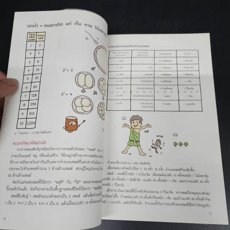 แก่ช้าลงแน่ แค่ปล่อยให้ท้องหิว - นพ.โยะชิโนะริ นะงุโมะ รูปที่ 11