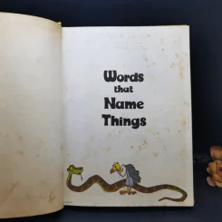 Words That Name Things รูปที่ 8