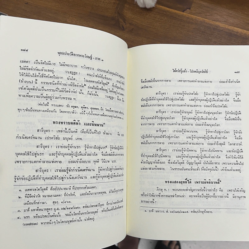 พุทธประวัติจากพระโอษฐ์ รูปที่ 10
