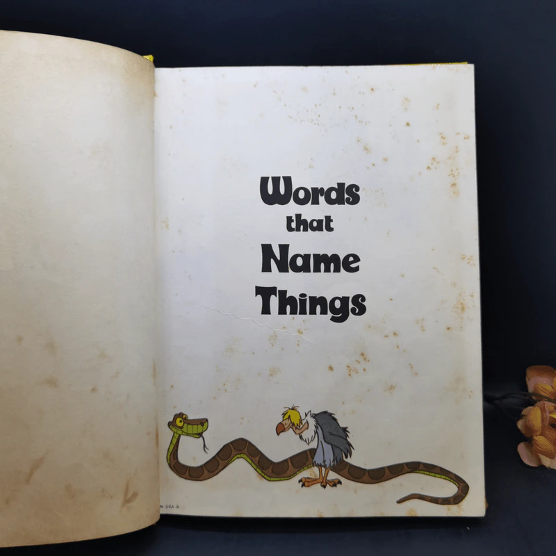 Words That Name Things รูปที่ 8