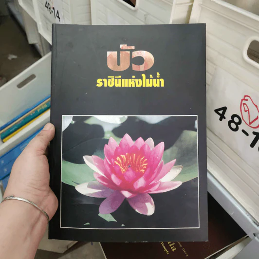 บัว ราชินีแห่งไม้น้ำ - คุณหญิงคณิตา เลขะกุล รูปที่ 1