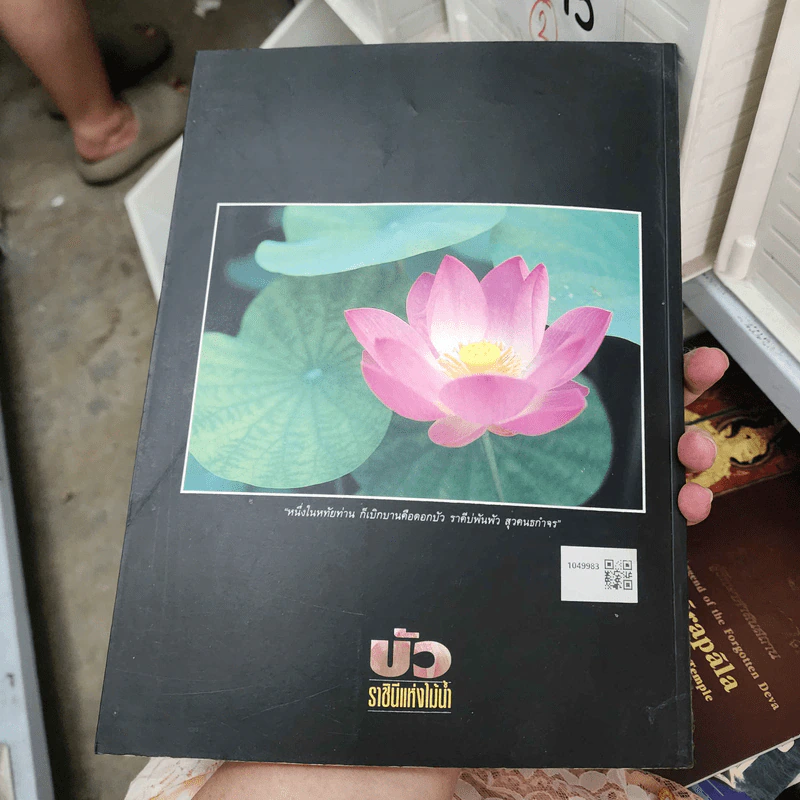 บัว ราชินีแห่งไม้น้ำ - คุณหญิงคณิตา เลขะกุล รูปที่ 2