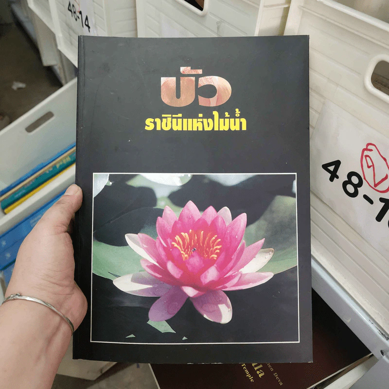 บัว ราชินีแห่งไม้น้ำ - คุณหญิงคณิตา เลขะกุล รูปที่ 1