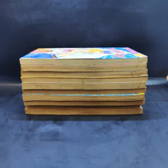 ถึงจะห้าวก็น่ารัก เล่ม 1-10 รูปที่ 4