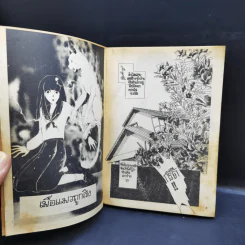 วิญญาณรักในร่างแมว 2 เล่มจบ - Shinohara Chie รูปที่ 9