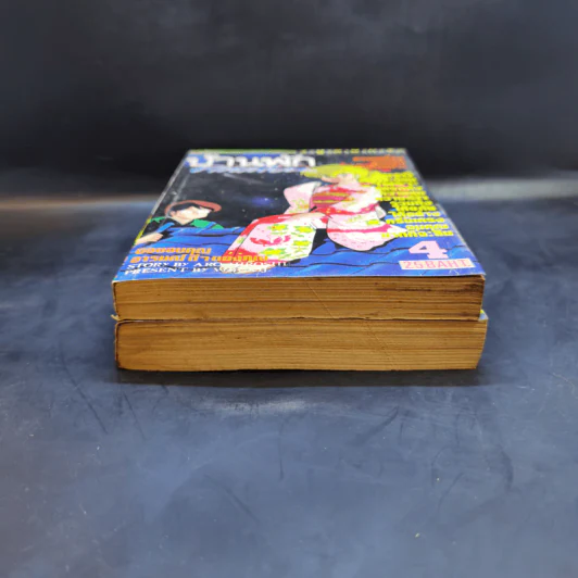 บ้านพักคนเพี้ยน เล่ม 2,4 รูปที่ 4