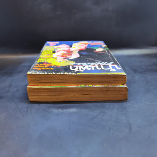 บ้านพักคนเพี้ยน เล่ม 2,4 รูปที่ 6