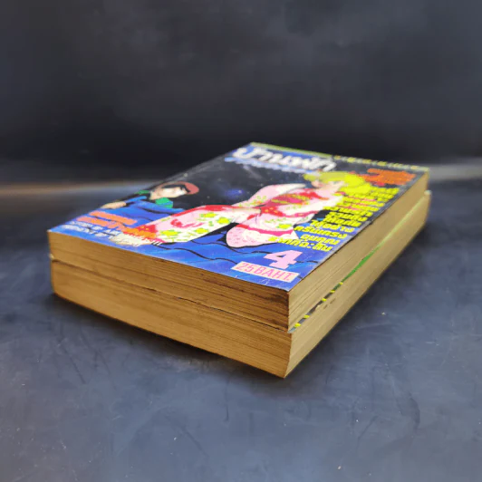 บ้านพักคนเพี้ยน เล่ม 2,4 รูปที่ 7