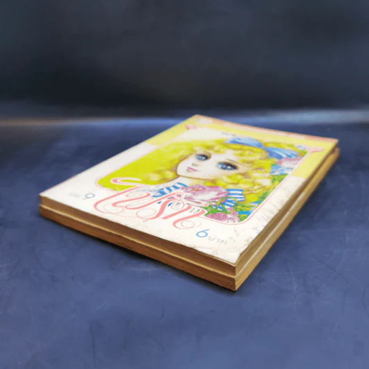 ไฟรัก เล่ม 5,9 รูปที่ 7