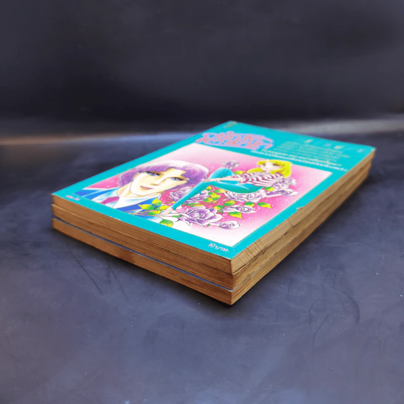 นักรักโลกมายา เล่ม 32,33,34 รูปที่ 6