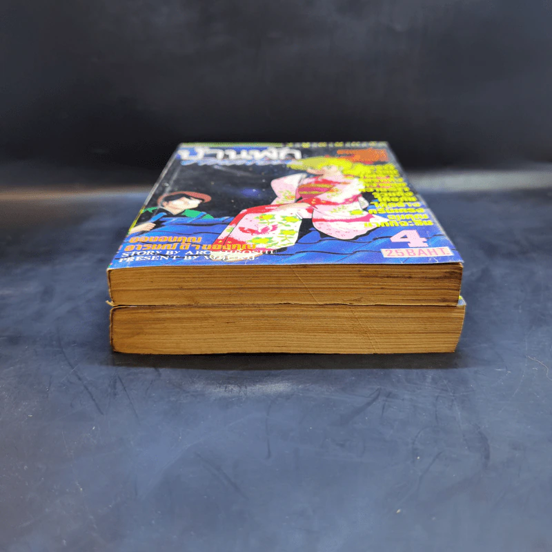 บ้านพักคนเพี้ยน เล่ม 2,4 รูปที่ 4