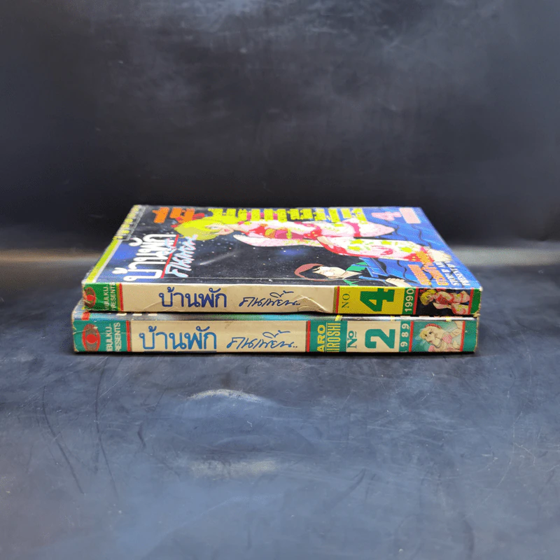 บ้านพักคนเพี้ยน เล่ม 2,4 รูปที่ 3