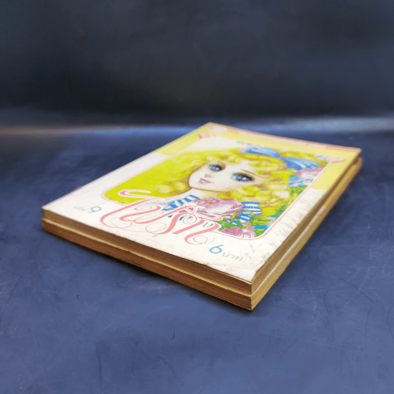 ไฟรัก เล่ม 5,9 รูปที่ 7