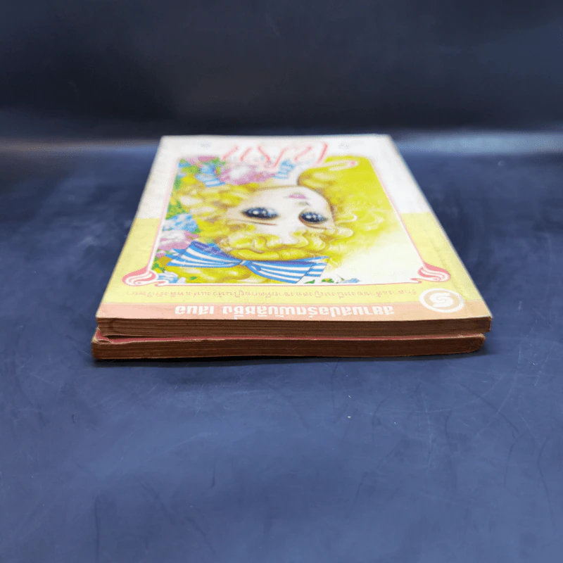 ไฟรัก เล่ม 5,9 รูปที่ 6