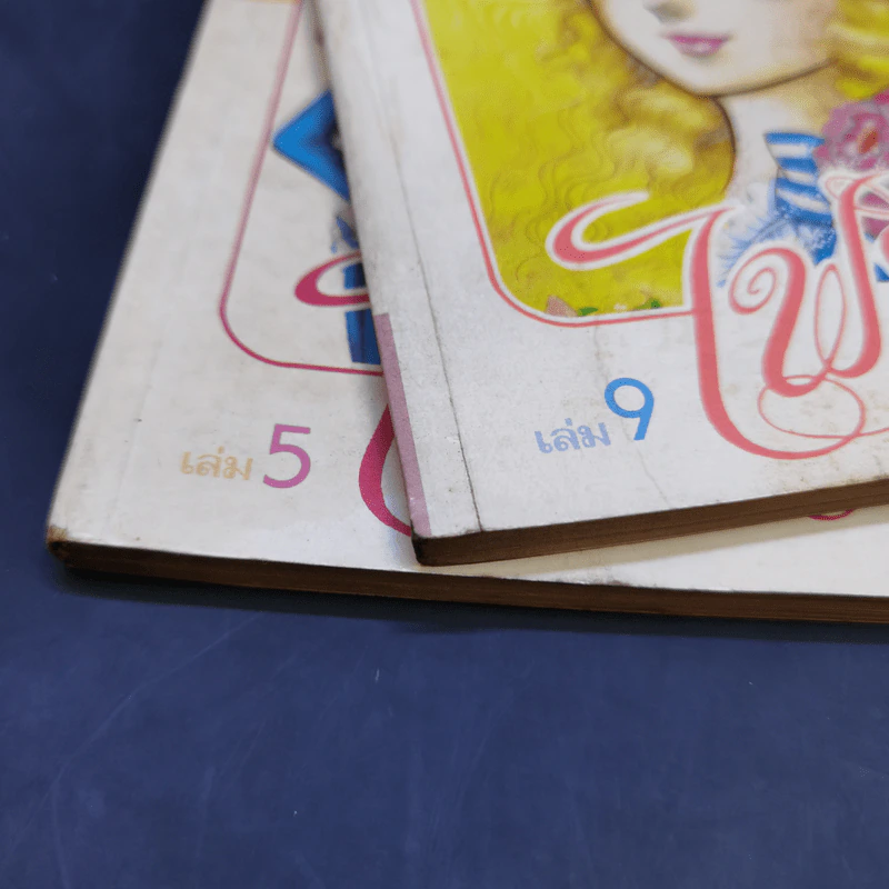 ไฟรัก เล่ม 5,9 รูปที่ 8