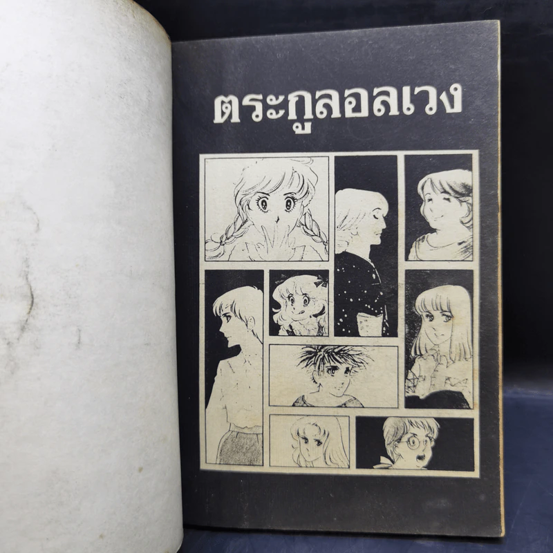 ตระกูลอลเวง เล่ม 1-5 รูปที่ 12