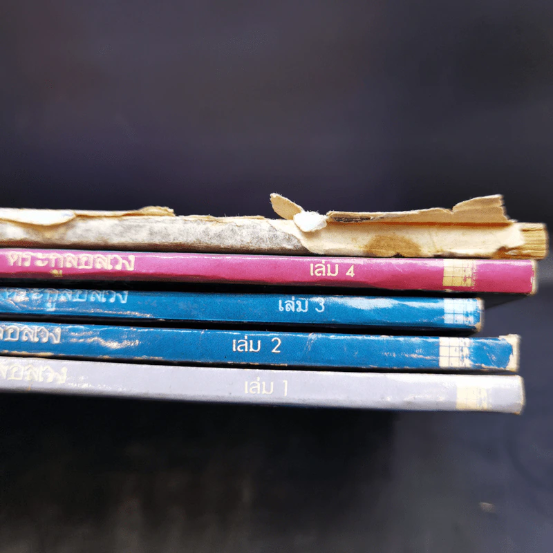 ตระกูลอลเวง เล่ม 1-5 รูปที่ 11