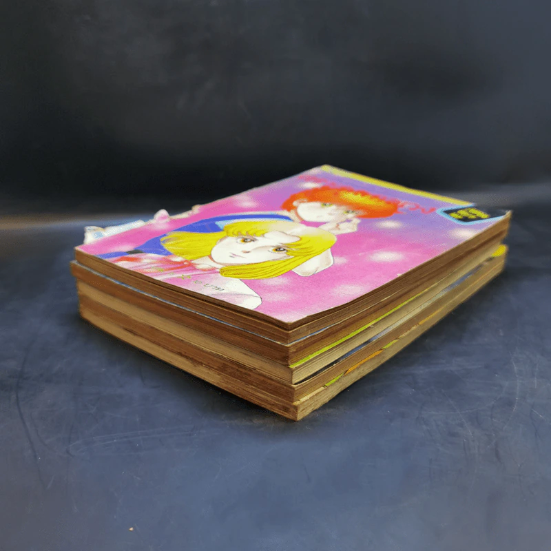 ตระกูลอลเวง เล่ม 1-5 รูปที่ 6
