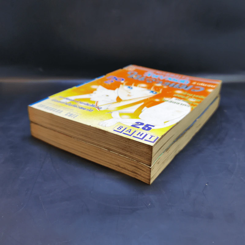 วิญญาณรักในร่างแมว 2 เล่มจบ - Shinohara Chie รูปที่ 7