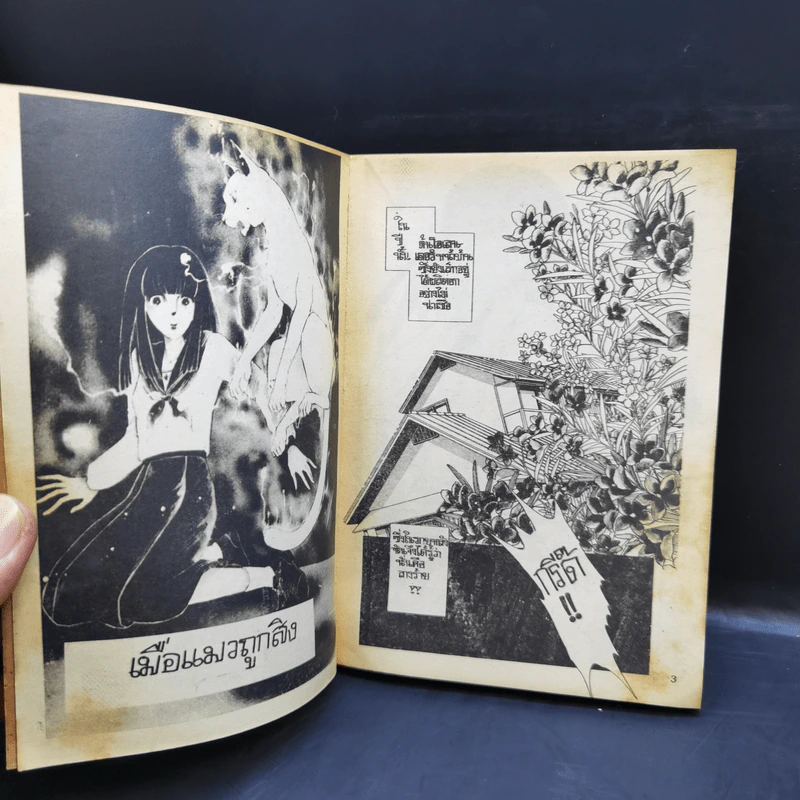 วิญญาณรักในร่างแมว 2 เล่มจบ - Shinohara Chie รูปที่ 9
