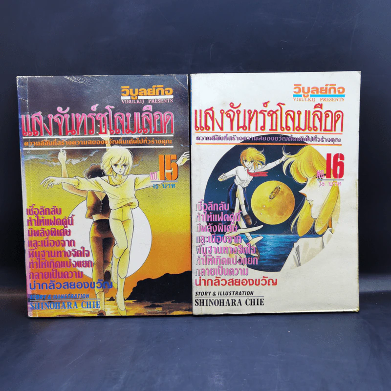 แสงจันทร์ชโลมเลือด 18 เล่มจบ รูปที่ 14