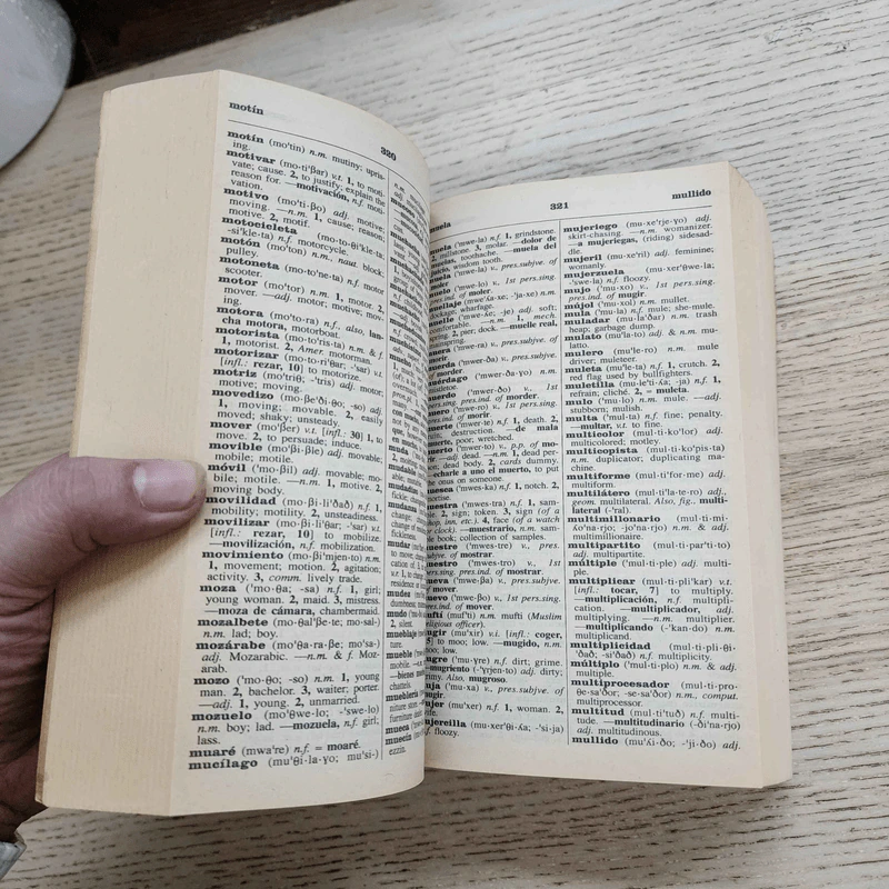The New World Spanish/English English English/Spanish Dictionary รูปที่ 8