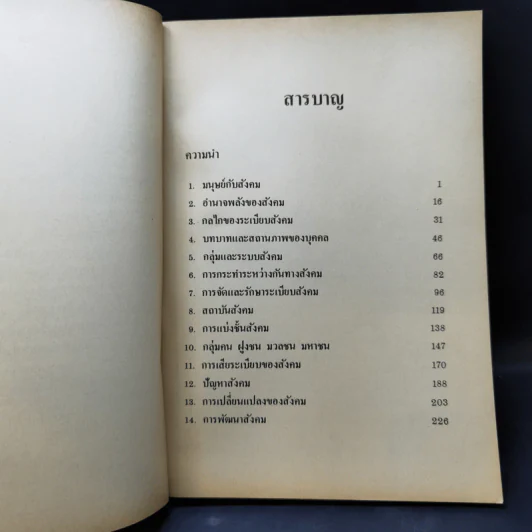 กลไกของสังคม - พัทยา สายหู รูปที่ 11