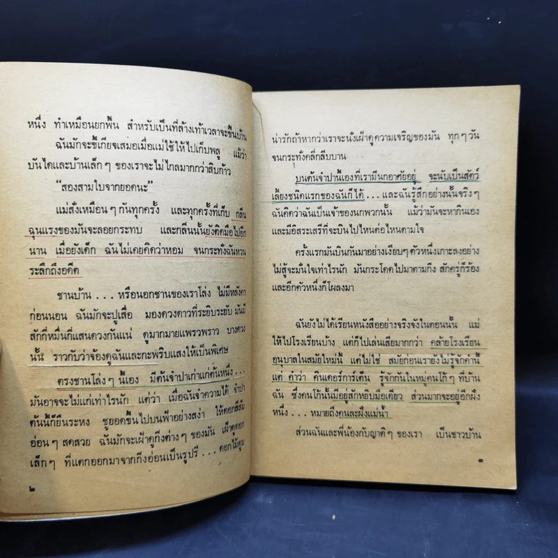 รวมเรื่องสั้น สวนสัตว์ - สุวรรณี สุคนธา รูปที่ 11