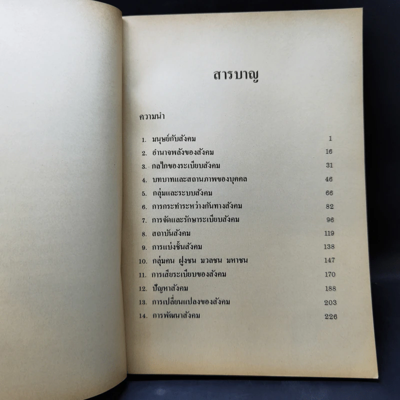 กลไกของสังคม - พัทยา สายหู รูปที่ 11