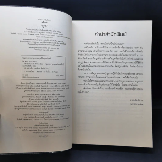 เสมือนฝัน - อิม ดาดา รูปที่ 8