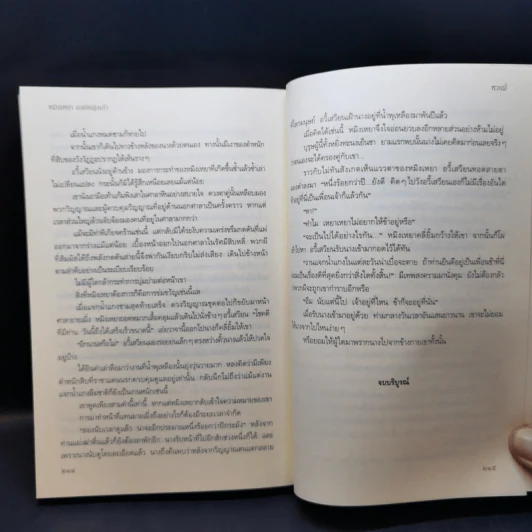 หมิงเหยา องค์หญิงเก้า - หวนมี่ รูปที่ 10