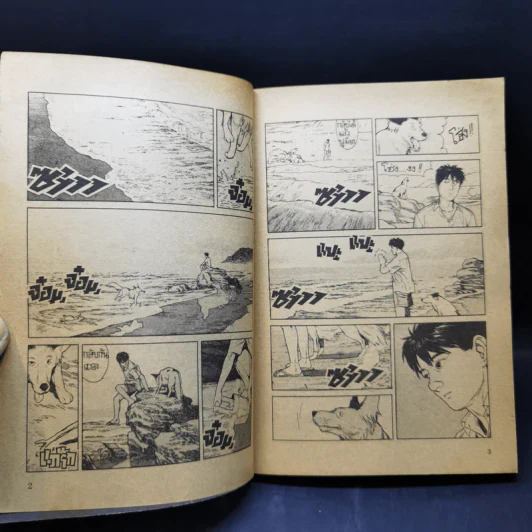 การ์ตูนยุคเก่า บัญญัติแห่งธรรมชาติที่ ต้องห้าม รูปที่ 8