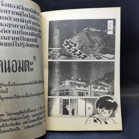 การ์ตูนยุคเก่า ตำนานเงือก ตอน บาดแผลจากเงือก - Takahashi Rumiko รูปที่ 9