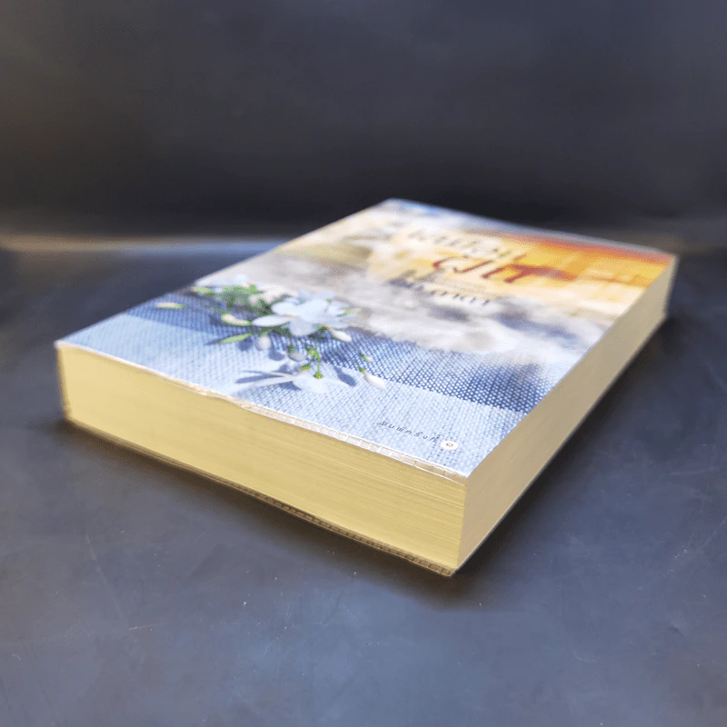 เสมือนฝัน - อิม ดาดา รูปที่ 7