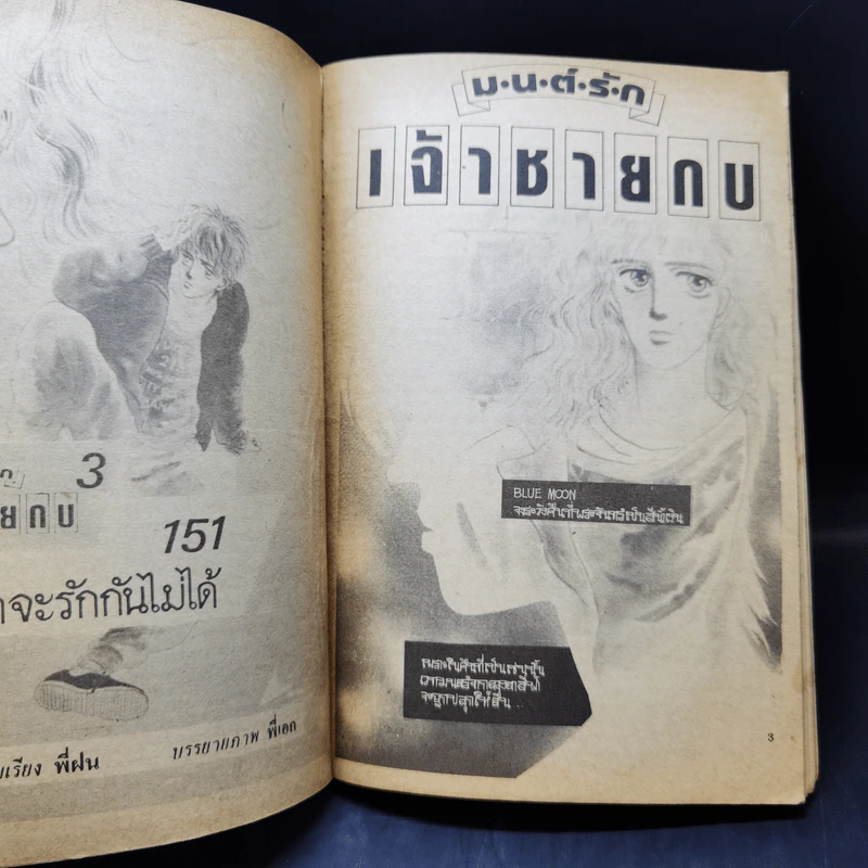 การ์ตูนยุคเก่า มนต์รักเจ้าชายกบ - Miku Matsue รูปที่ 8