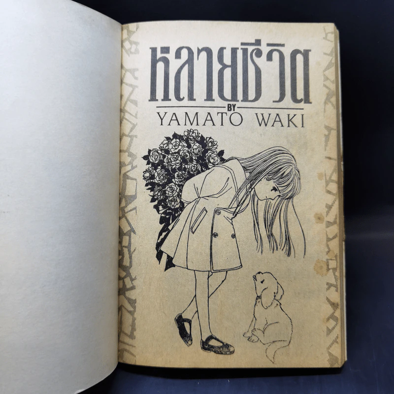 การ์ตูนยุคเก่า หลายชีวิต - Yamato Waki รูปที่ 8