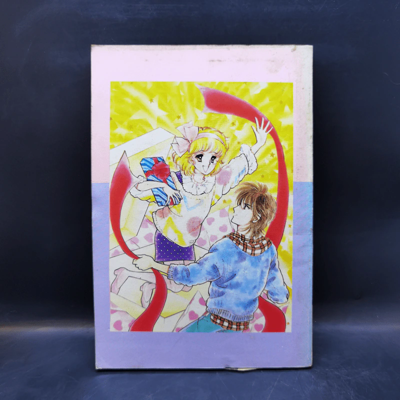 การ์ตูนยุคเก่า ต้องเก่งแบบนี้ถึงรักได้ รูปที่ 2