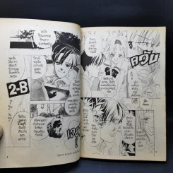 การ์ตูนยุคเก่า กุหลาบ...ความรัก...กับหินก้อนหนึ่ง รูปที่ 9