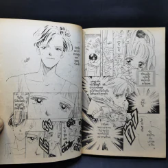 การ์ตูนยุคเก่า กุหลาบ...ความรัก...กับหินก้อนหนึ่ง รูปที่ 10